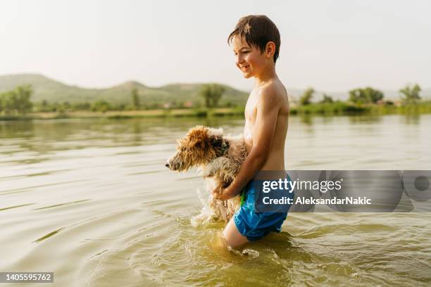 summer day on the lake - 9 loch stock pictures, royalty-free photos & images