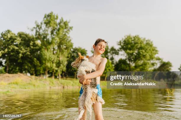 summer day on the lake - 9 loch stock pictures, royalty-free photos & images