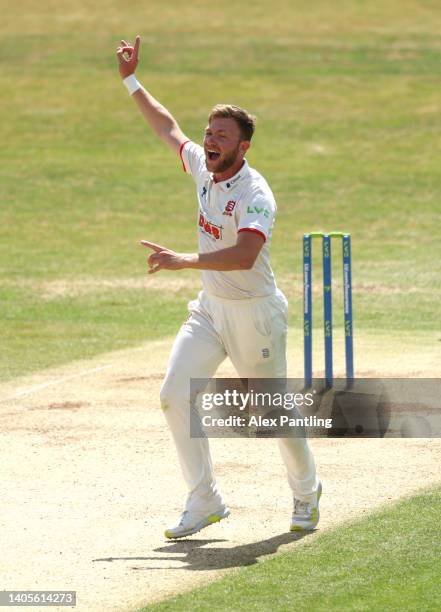 Sam Cook of Essex unsuccessfully appeals for a wicket during the LV= Insurance County Championship match between Essex vs Hampshire at Cloudfm County...