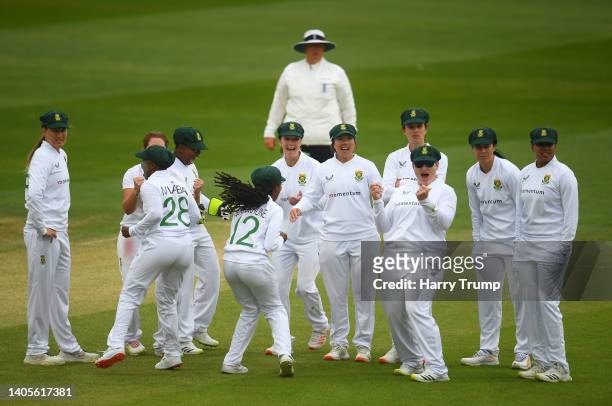 Players of South Africa celebrate the wicket of Heather Knight of England during Day Two of the First Test Match between England Women and South...