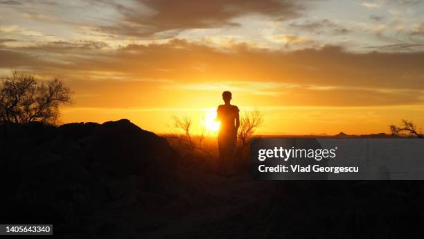abduction - deserto del sonoran foto e immagini stock