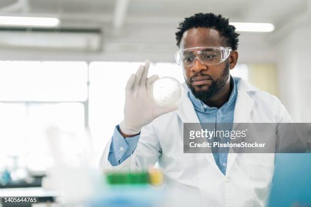 scientist working in laboratory for visual analyze the sample in petri dish. - zwarte handschoen stockfoto's en -beelden
