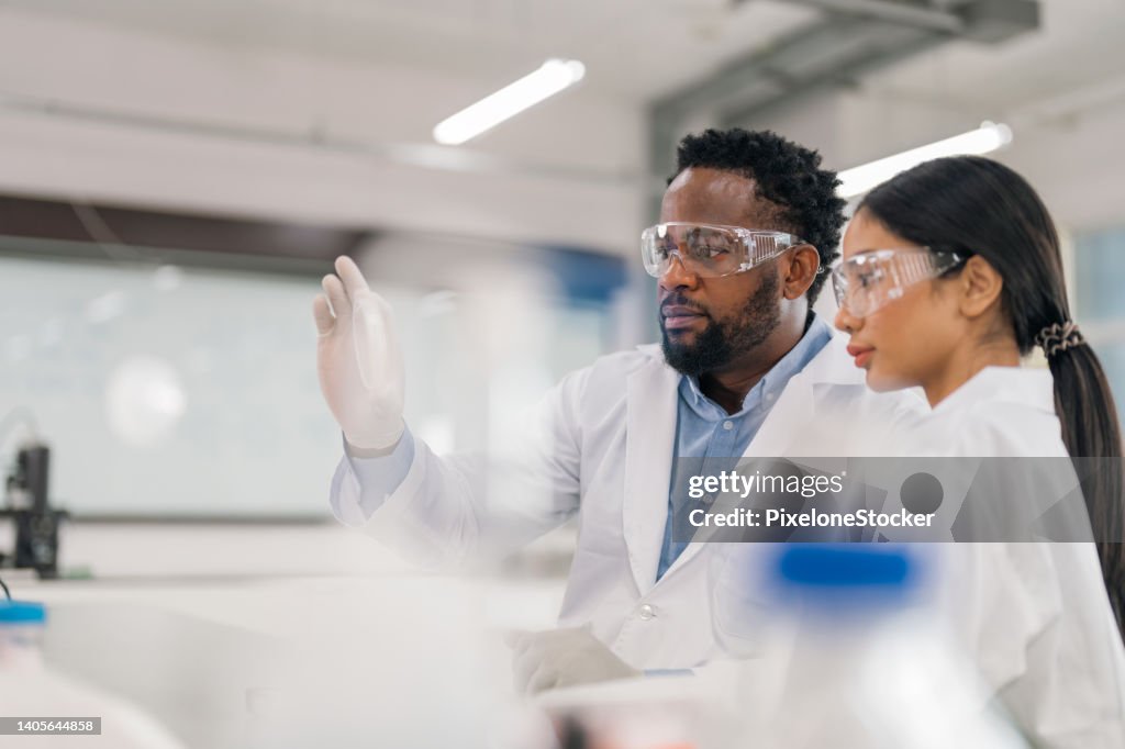 Scientists working in Laboratory for visual analyze the sample in petri dish.