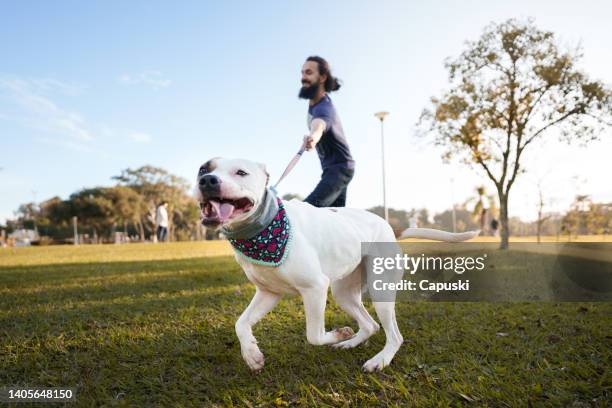 cachorro e dono correndo no parque - coleira para animais de estimação - fotografias e filmes do acervo
