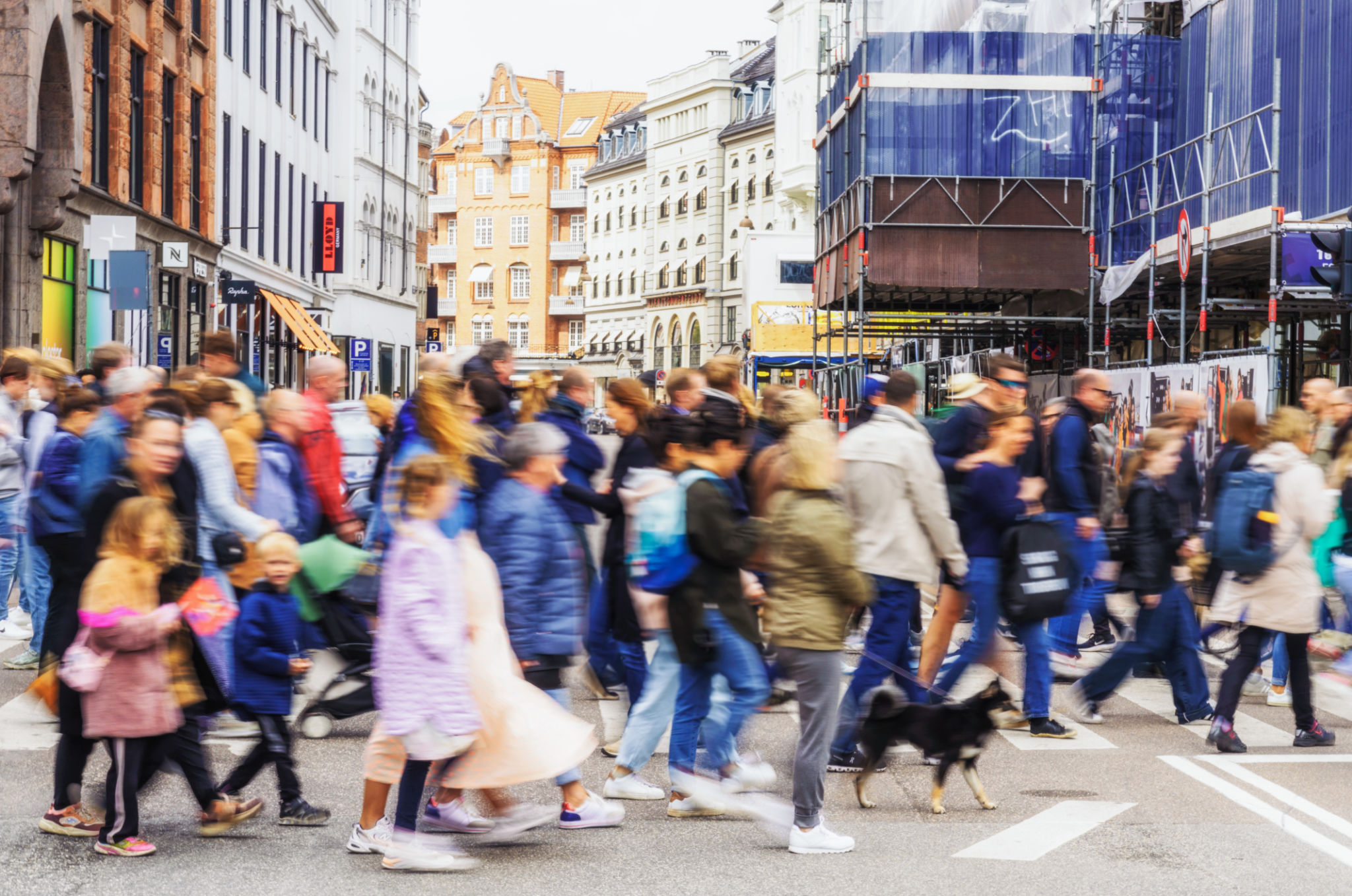 Busy crosswalk in Copenhagen Busy crosswalk in Copenhagen