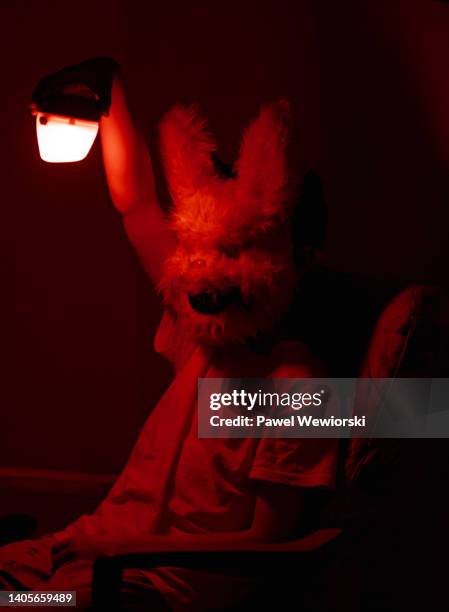 boy in rabbit mask holding small lamp - rabbit mask stockfoto's en -beelden