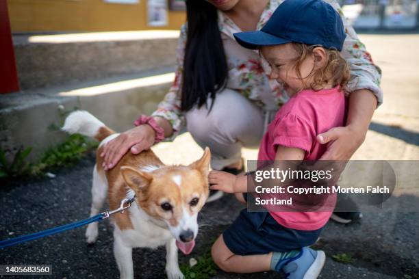 mother and daughter duo meeting a cute dog - pet leash stockfoto's en -beelden