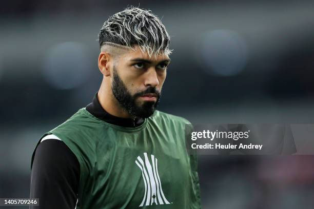 224 Alexander Barboza Stock Photos, HighRes Pictures, and Images