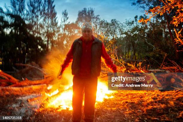 glowing man transcending, fire in forest - tree-rebirth stock pictures, royalty-free photos & images