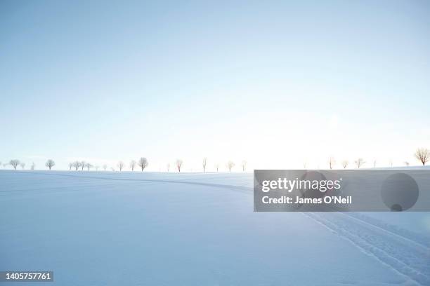 cross-country ski tracks in fresh snow - european sports pictures of the month december stock-fotos und bilder