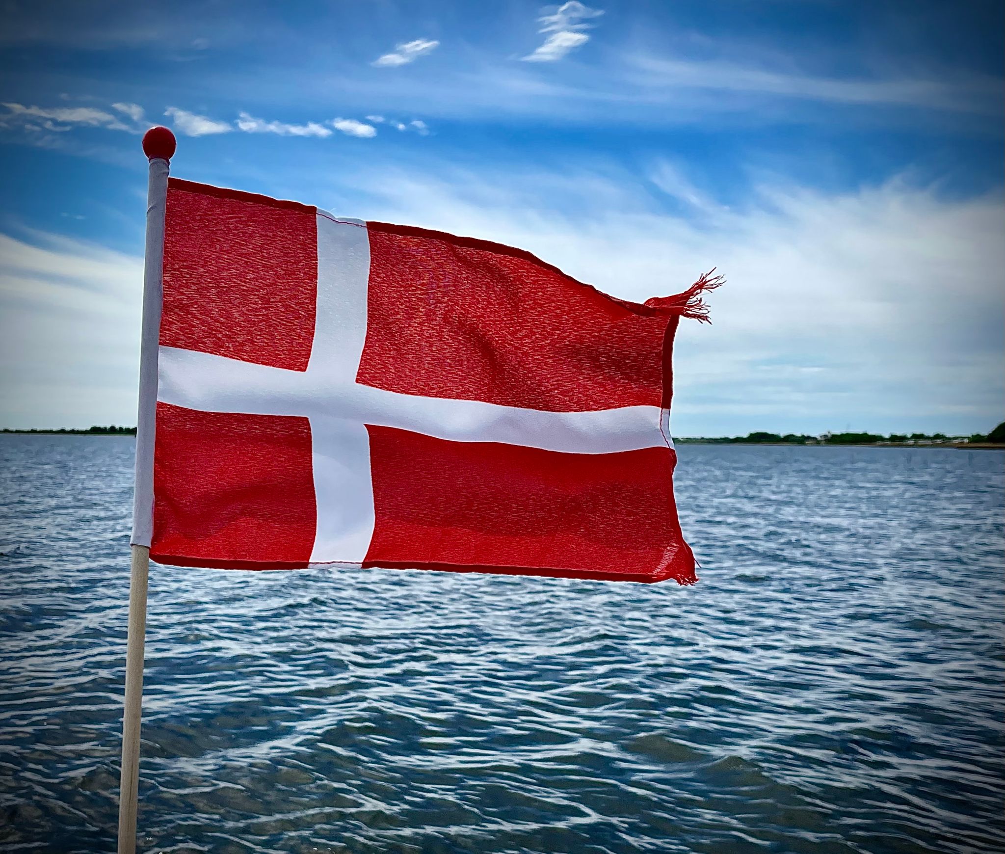 efoil denmark
