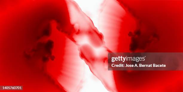 abstract background, texture of red ink that slides on a white canvas. - blood texture stock pictures, royalty-free photos & images