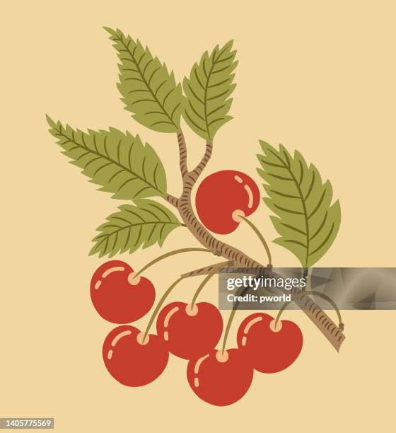 cherry branch . - cherry stock illustrations