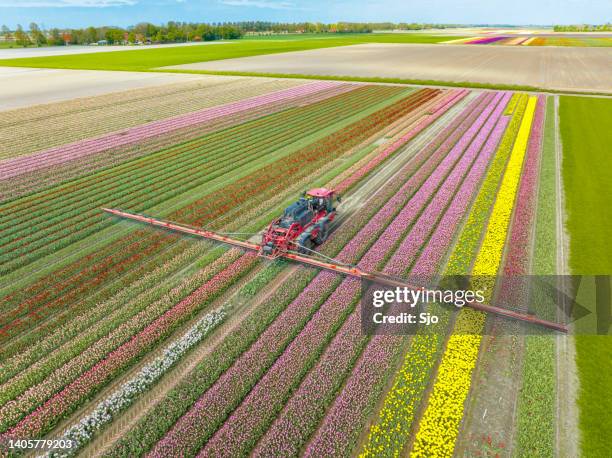 Dutch Spring Farming 16,785 Dutch Farms Stock Photos, High-Res Pictures, and Images - Getty ...
