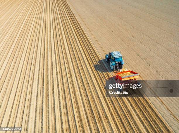 traktor pflanzt kartoffeln im frühling in den boden - harrow stock-fotos und bilder