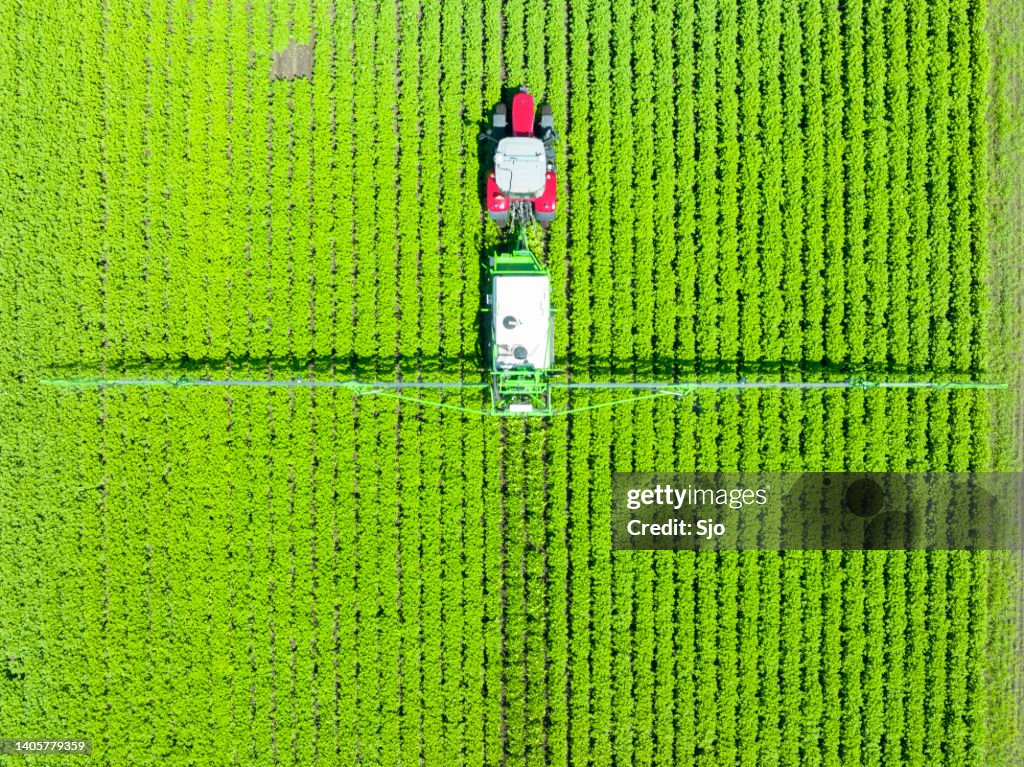 Agricultural crops sprayer spraying on a field during springtime