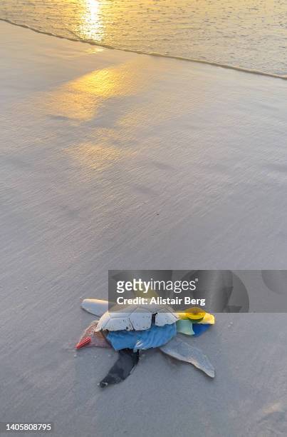 sea turtle made from plastic washed up on beach - threatened species stock pictures, royalty-free photos & images