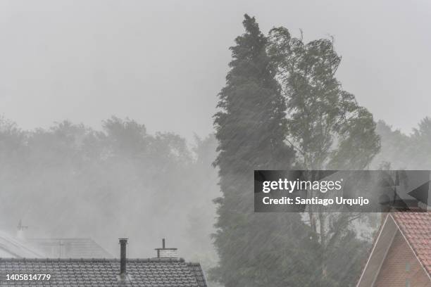 heavy rain in spring - storm bildbanksfoton och bilder