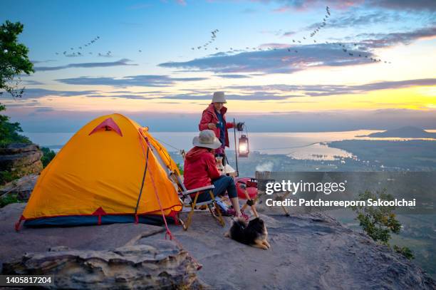 coffee on cliff - service dog stock-fotos und bilder