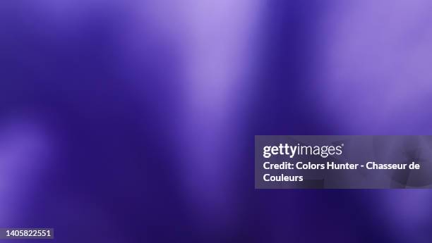 abstract photography of a violet flower with naturally saturated colors - dark floral stockfoto's en -beelden