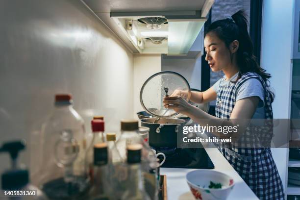 a young asian mother prepares dinner - chinese soup bildbanksfoton och bilder