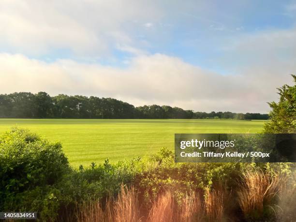 scenic view of agricultural field against sky,south kingstown,rhode island,united states,usa - south kingstown rhode island stock pictures, royalty-free photos & images