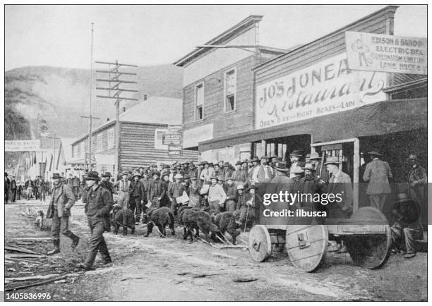 antique photo: klondike gold rush, dog cart, dawson - klondike gold rush national historic park stock illustrations