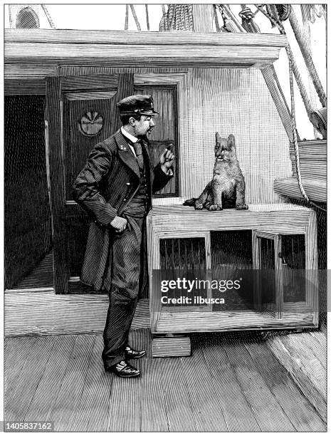 stockillustraties, clipart, cartoons en iconen met antique illustration: belgian south pole expedition return, ship "belgica", commander lecointe and his lioness - south pole