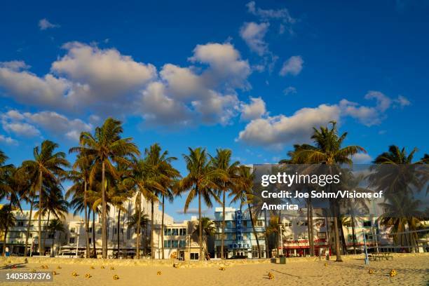 Art Deco District, Miami Beach shows colorful retro neon signs with palm trees and clouds on beach, Florida.