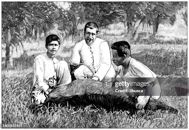 antique illustration: doctor yersin experimenting cure or vaccine for plague on cattle - victorian doctor stock illustrations