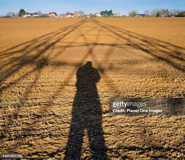 Shadow of an electricity pylon and the photographer in a field in Radley in Springtime.