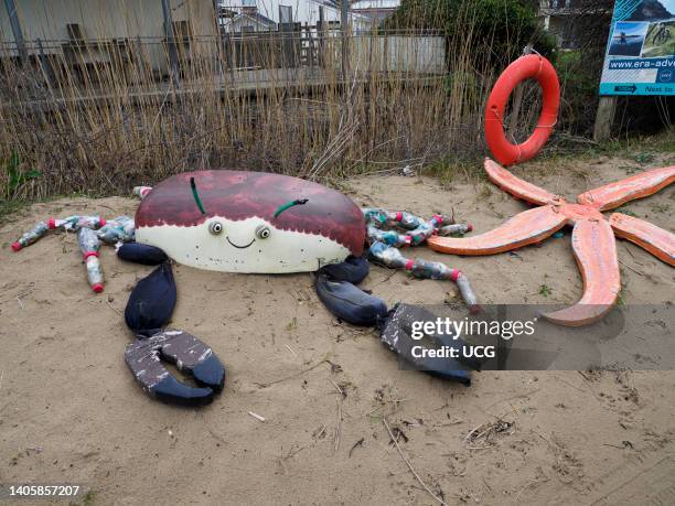 Sculpture of a crab and starfish made from marine rubbish washed up on the beaches around Polzeath, at the Marine Conservation Group center,...