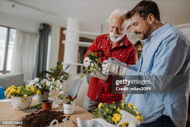 father - father and son gardening stock pictures, royalty-free photos & images