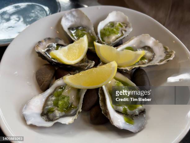 freshly shucked oysters on the half shell. - barnacle fotografías e imágenes de stock