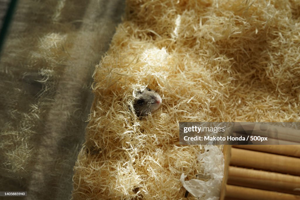High angle view of food on table