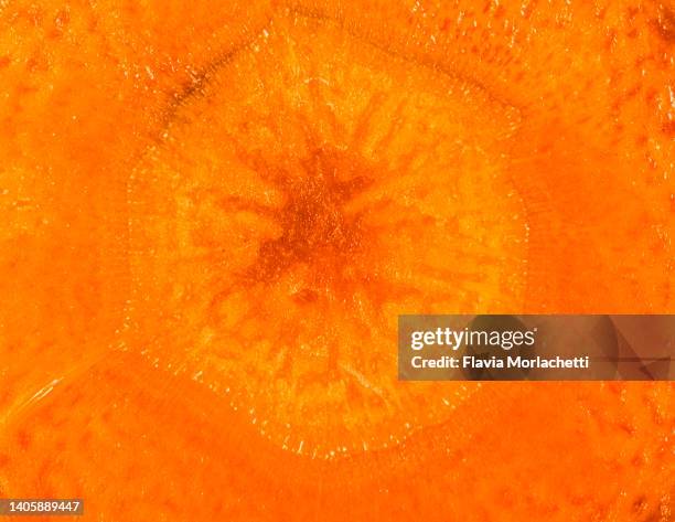 cross section carrot macro - cross section stock pictures, royalty-free photos & images