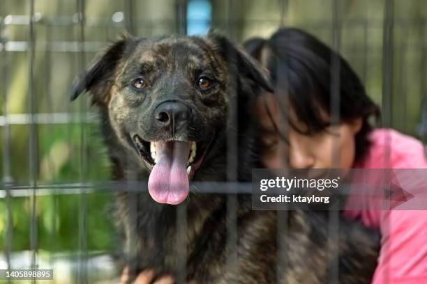 アジアの若い女性が新しく養子縁組した犬を抱きしめる - ぶち模様 ストックフォトと画像