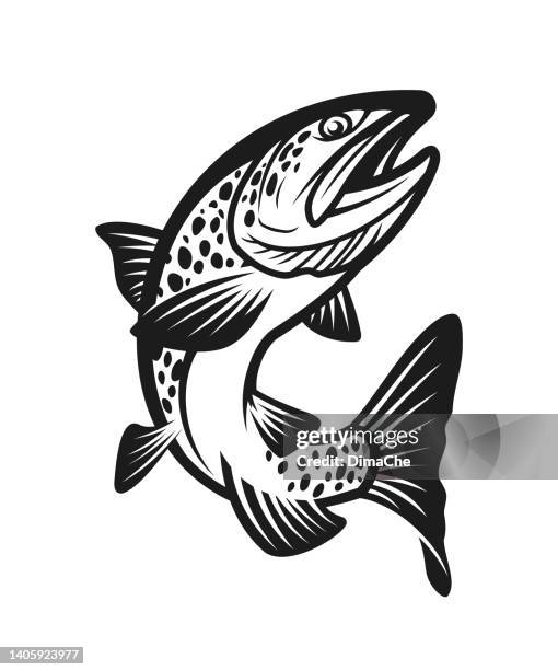 ilustrações de stock, clip art, desenhos animados e ícones de salmon fish silhouette cut out vector icon - truta