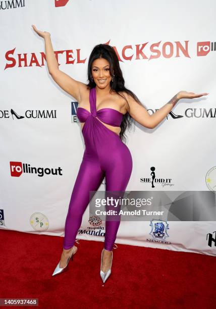 Shantel Jackson attends her Rolling Out Cover Reveal Party at Hotel Ziggy on June 29, 2022 in West Hollywood, California.