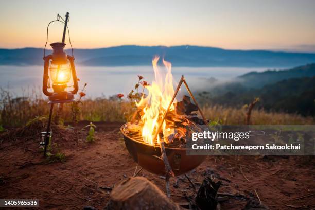 burning the fire - campfire bildbanksfoton och bilder