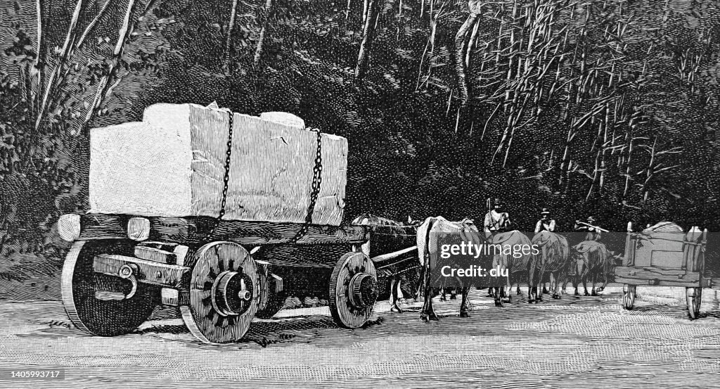 Carrara transport of marble