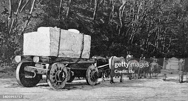 Carrara Transport Of Marble High-Res Vector Graphic