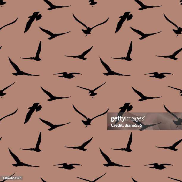 Seagull Pattern Photos and Premium High Res Pictures - Getty Images