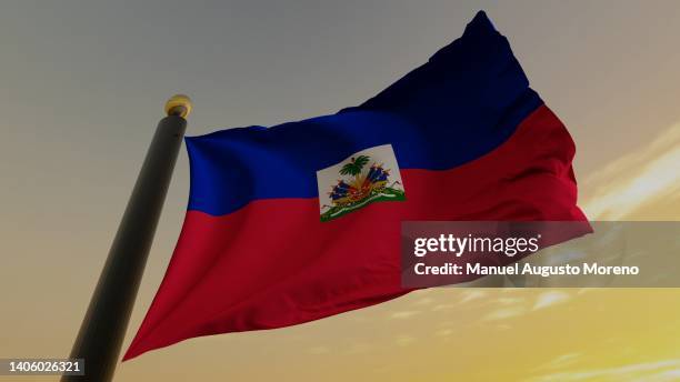 flag of haiti - haitianas - fotografias e filmes do acervo