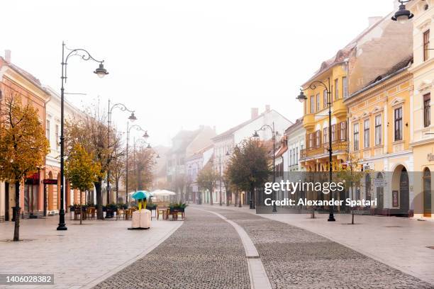 main pedestrian street in sibiu old town, transylvania, romania - pedestrian zone 個照片及圖片檔