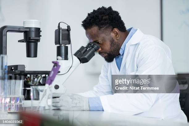 pathology and laboratory medicine development. african american scientist analyzing parasitic sample through microscope in a laboratory. - microbiologist fotografías e imágenes de stock