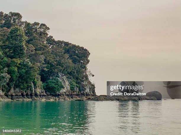 toka ngawhā / split apple rock in abel tasman national park, kaiteriteri, new zealand - tasman sea stock pictures, royalty-free photos & images
