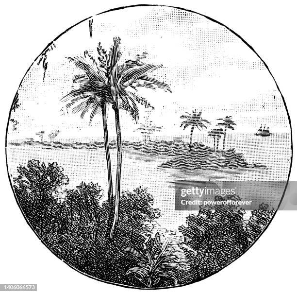 islands in fiji - 19th century - fiji landscape stock illustrations