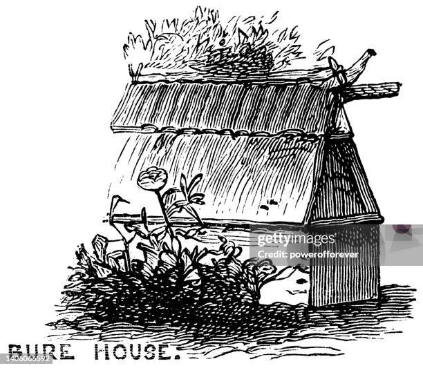 fijian bure house - 19th century - shack stock illustrations
