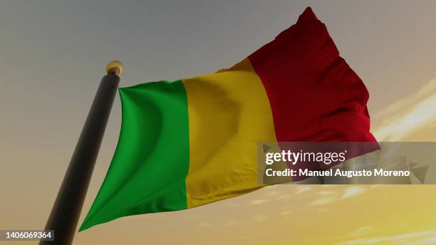 flag of mali - mali stock-fotos und bilder